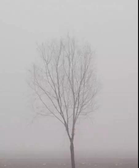 排气筒的白烟、黑烟、黄烟、火烟、彩烟到底是啥？排气筒规格、整治相关要求及图例汇总
