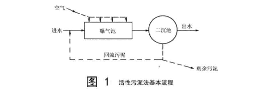污水丨一口气看完活性污泥法，最全总结！