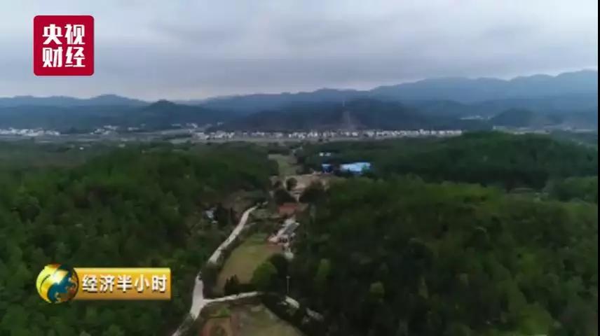 太猖狂！环保局贴的“封条”成废纸？关停的黑工厂，恶臭污水仍直流居民水源地！